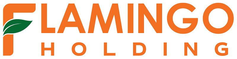 Tập đoàn Flamingo Holding